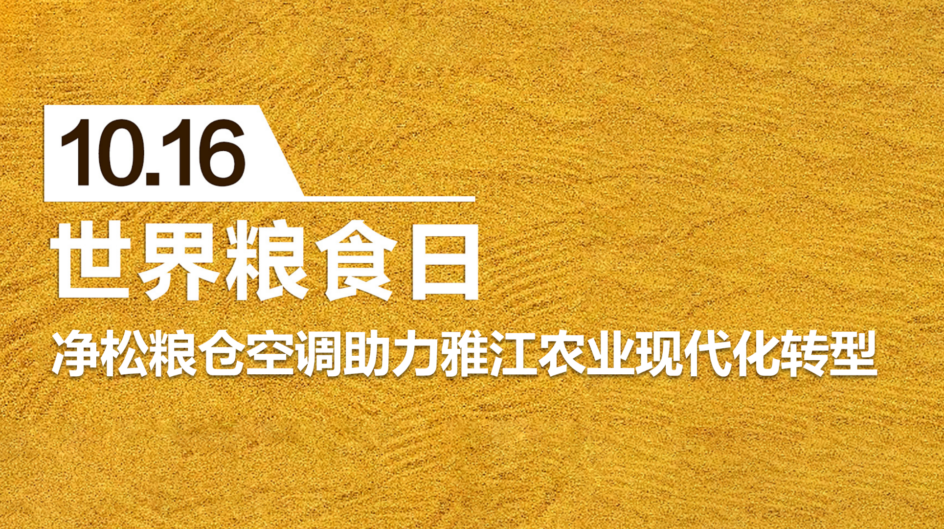 糧安天下，凈松糧倉空調(diào)助力雅江農(nóng)業(yè)現(xiàn)代化轉(zhuǎn)型