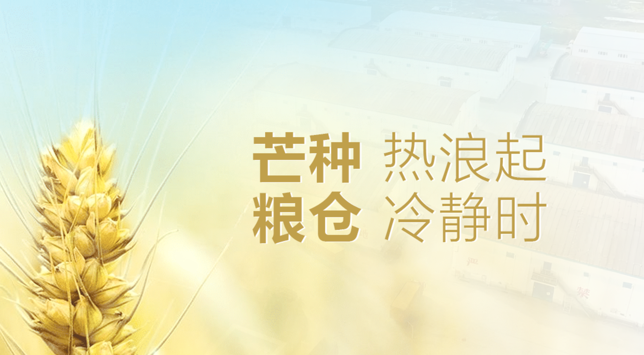 芒種熱浪起，糧倉“冷靜”時(shí)：凈松糧倉空調(diào)守護(hù)糧倉安全